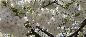 eveil-mouvement-retraite